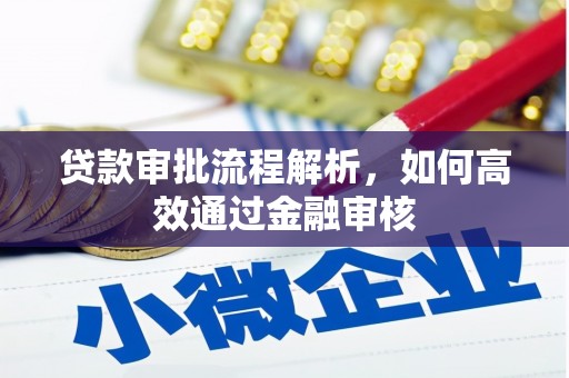 庐江贷款审批流程解析，如何高效通过金融审核