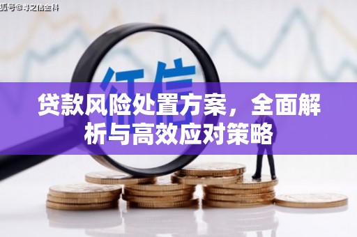 庐江贷款风险处置方案，全面解析与高效应对策略