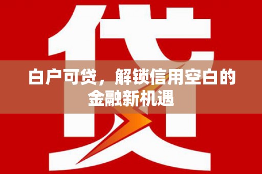 庐江白户可贷，解锁信用空白的金融新机遇
