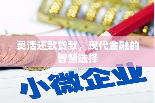 庐江灵活还款贷款，现代金融的智慧选择