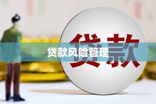 庐江贷款风险管理
