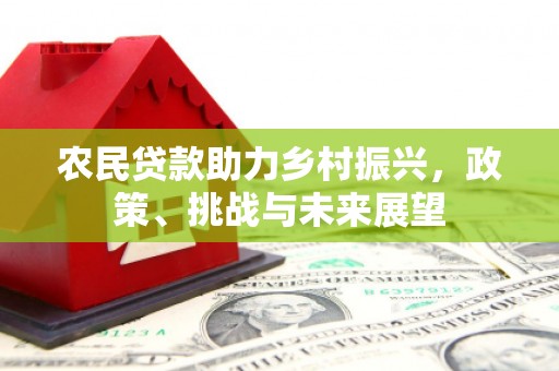 庐江农民贷款助力乡村振兴，政策、挑战与未来展望