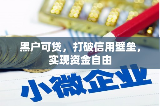 庐江黑户可贷，打破信用壁垒，实现资金自由