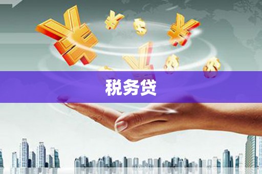 庐江税务贷