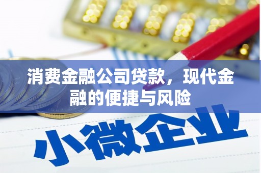 庐江消费金融公司贷款，现代金融的便捷与风险