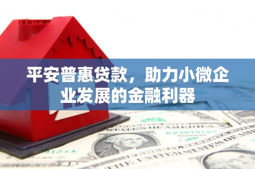 庐江平安普惠贷款，助力小微企业发展的金融利器