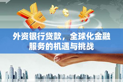 庐江外资银行贷款，全球化金融服务的机遇与挑战
