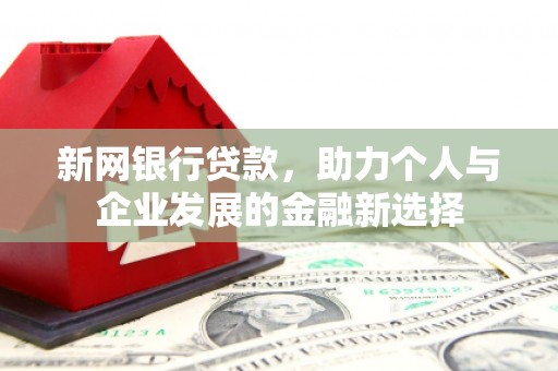 庐江新网银行贷款，助力个人与企业发展的金融新选择