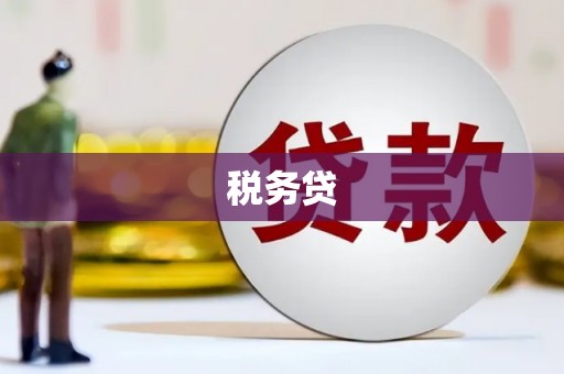 庐江税务贷