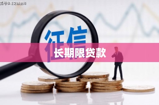 庐江长期限贷款