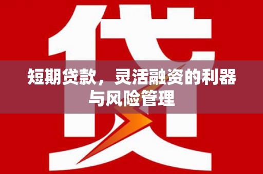 庐江短期贷款，灵活融资的利器与风险管理