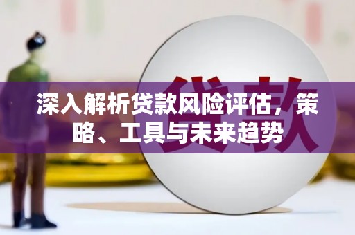 庐江深入解析贷款风险评估，策略、工具与未来趋势