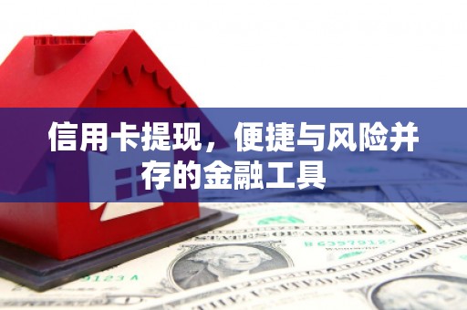 庐江信用卡提现，便捷与风险并存的金融工具