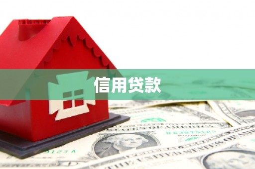 庐江信用贷款