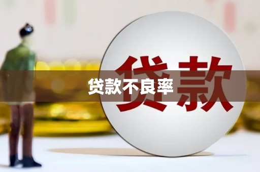 庐江贷款不良率
