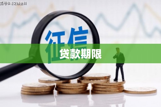 庐江贷款期限