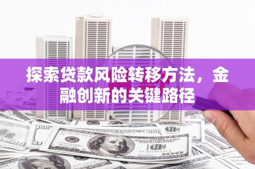 庐江探索贷款风险转移方法，金融创新的关键路径