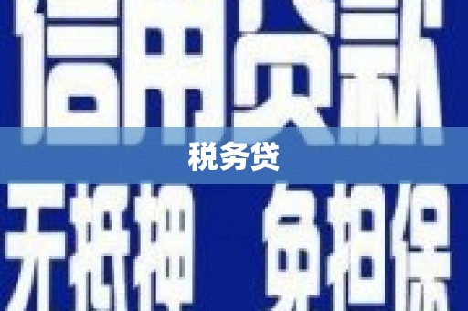 庐江税务贷