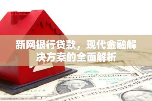 庐江新网银行贷款，现代金融解决方案的全面解析