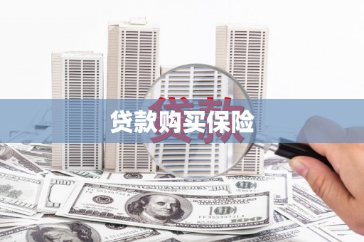 庐江贷款购买保险