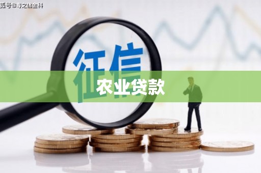 庐江农业贷款