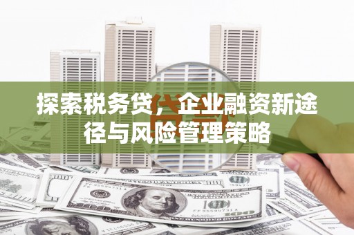 庐江探索税务贷，企业融资新途径与风险管理策略