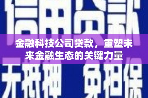 庐江金融科技公司贷款，重塑未来金融生态的关键力量