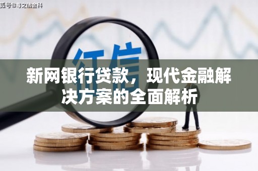 庐江新网银行贷款，现代金融解决方案的全面解析