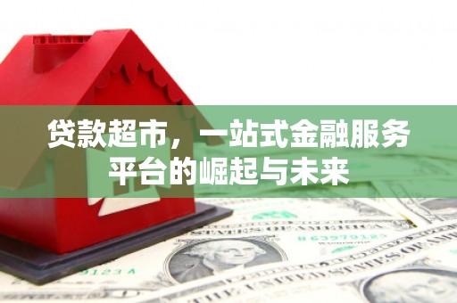 庐江贷款超市，一站式金融服务平台的崛起与未来
