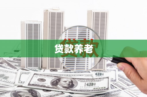 庐江贷款养老