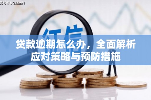 庐江贷款逾期怎么办，全面解析应对策略与预防措施