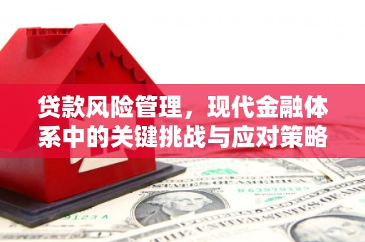 庐江贷款风险管理，现代金融体系中的关键挑战与应对策略