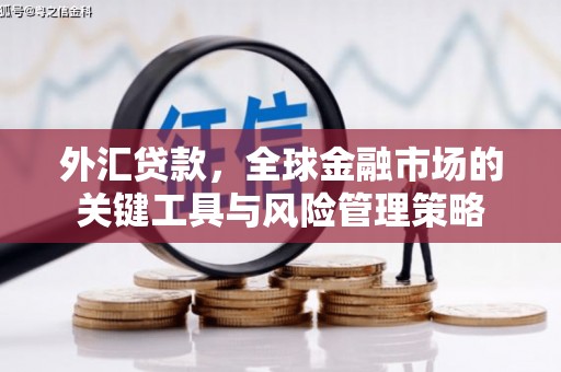 庐江外汇贷款，全球金融市场的关键工具与风险管理策略