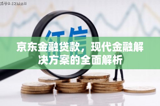 庐江京东金融贷款，现代金融解决方案的全面解析