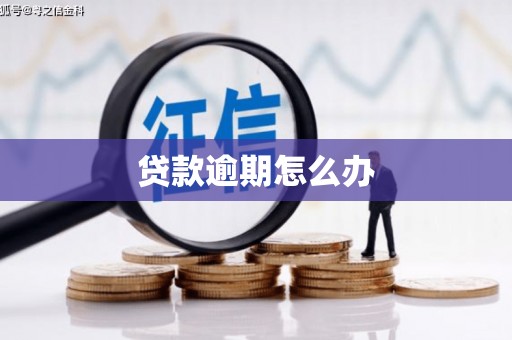 庐江贷款逾期怎么办
