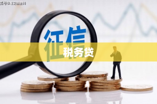 庐江税务贷
