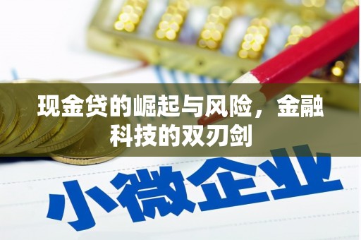 庐江现金贷的崛起与风险，金融科技的双刃剑