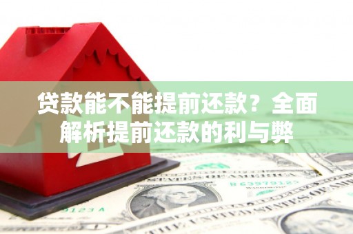 庐江贷款能不能提前还款？全面解析提前还款的利与弊