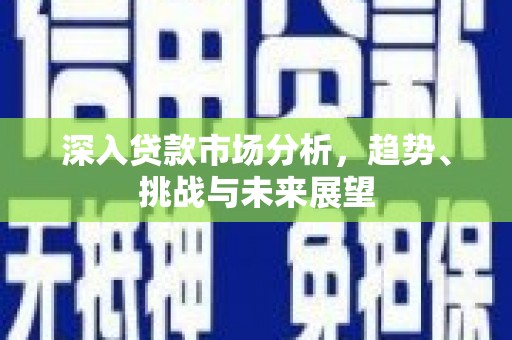 庐江深入贷款市场分析，趋势、挑战与未来展望