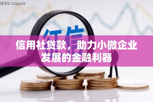 庐江信用社贷款，助力小微企业发展的金融利器