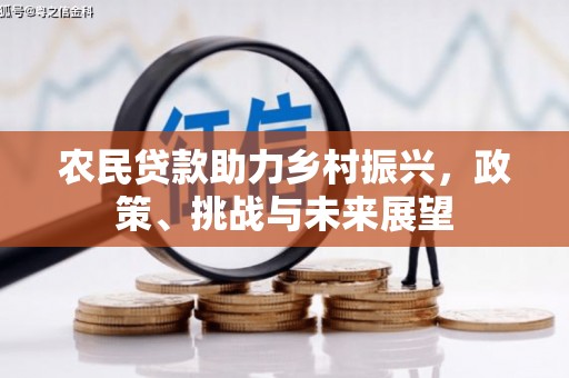 庐江农民贷款助力乡村振兴，政策、挑战与未来展望