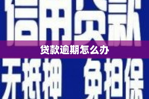 庐江贷款逾期怎么办