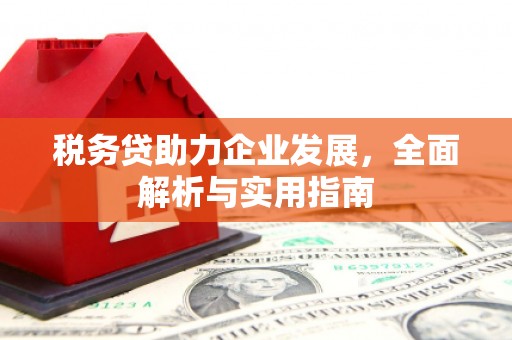 庐江税务贷助力企业发展，全面解析与实用指南