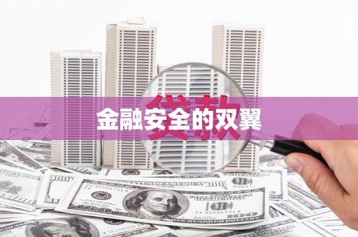 庐江金融安全的双翼