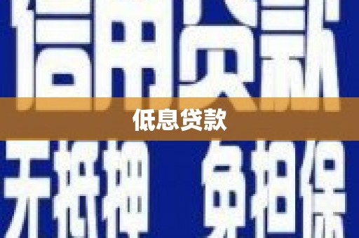 庐江低息贷款