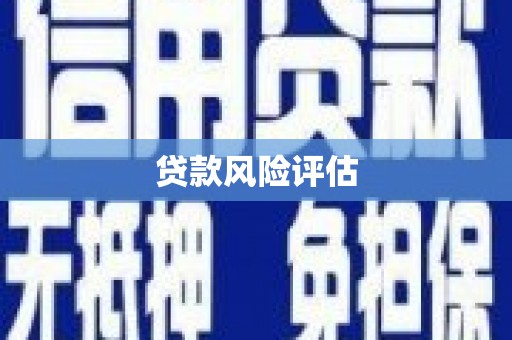 庐江贷款风险评估