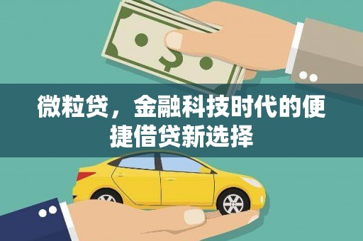 庐江微粒贷，金融科技时代的便捷借贷新选择