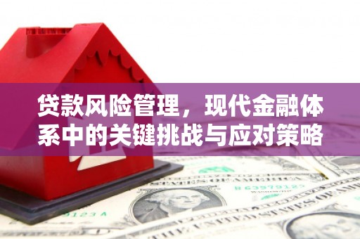 庐江贷款风险管理，现代金融体系中的关键挑战与应对策略