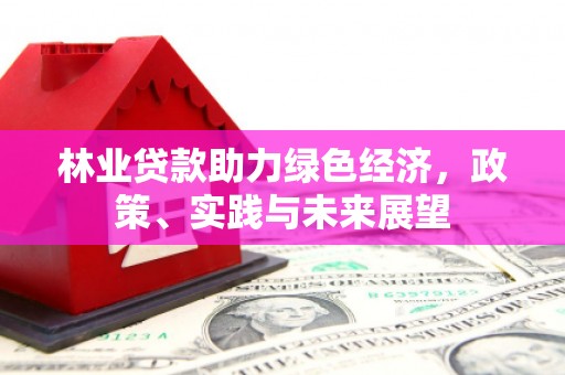 庐江林业贷款助力绿色经济，政策、实践与未来展望