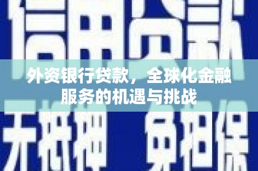 庐江外资银行贷款，全球化金融服务的机遇与挑战